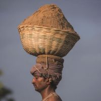 全球沙荒：20年貿易額增長(cháng)六倍 中國占亞洲一半，一場(chǎng)全球資源危機！正在愈演愈烈！