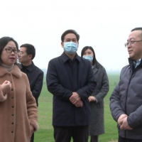 長(cháng)江委、省水利廳檢查組來(lái)枝江檢查河道采砂管理工作