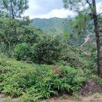 2礦同出！260萬(wàn)方/年！廣東砂石大礦掛牌出讓