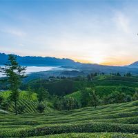 500萬(wàn)噸/年！湖北儲量約1.12億噸建筑用花崗巖礦擬掛牌出讓
