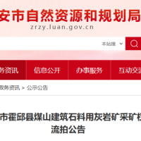 起始價(jià)8億元！安徽一建筑石料用灰巖礦無(wú)人報價(jià)流拍