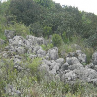 該地儲量2億噸大型砂石礦即將出讓